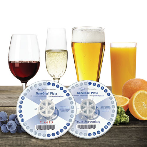 GeneDisc Plate for Yeast Detection and Identification