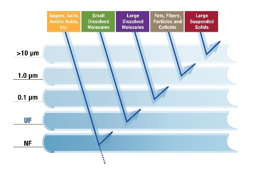 plant-protein-chart